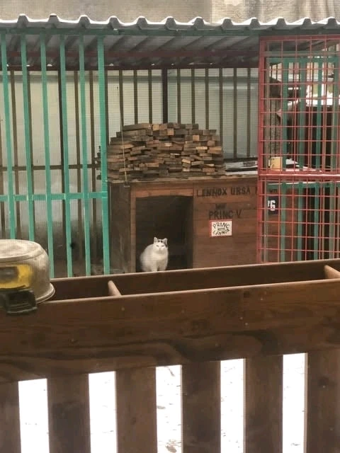 GIF uploaded by Broni