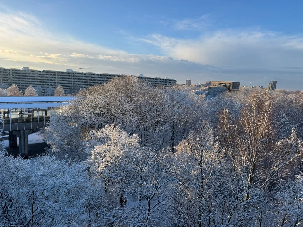 GIF uploaded by Iris