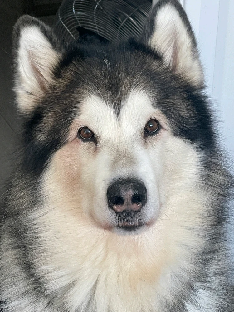 GIF uploaded by David