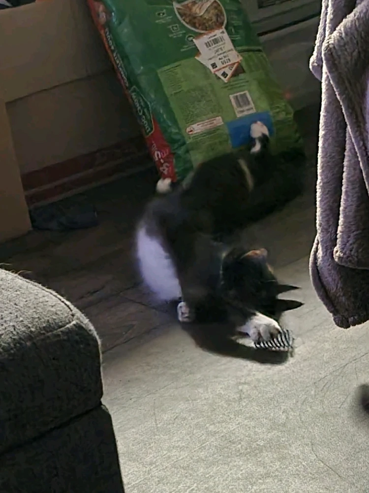 Image uploaded by Axel