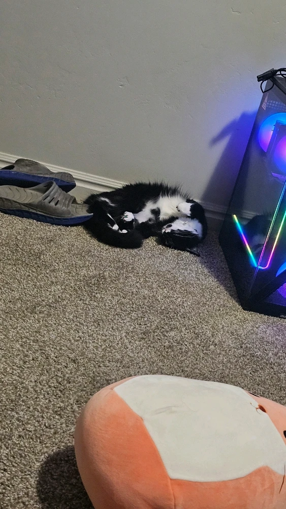 Image uploaded by Axel