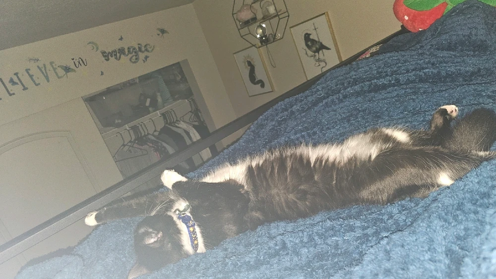 Image uploaded by Axel