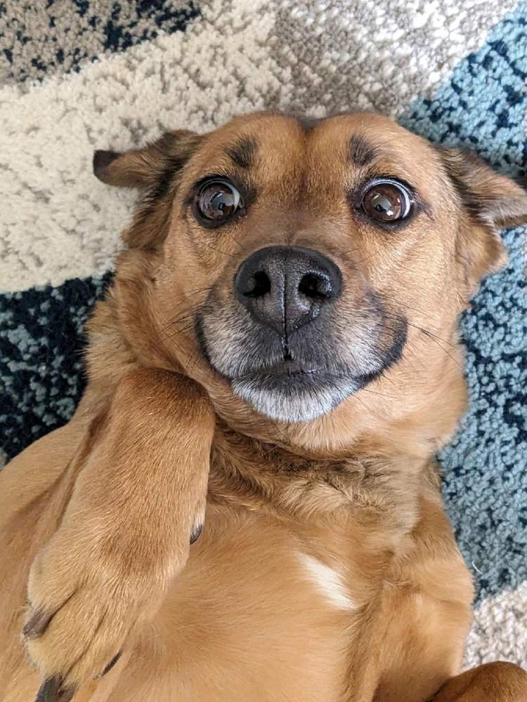 GIF uploaded by Ryan