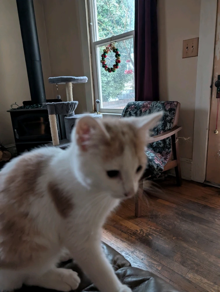 GIF diunggah dening Noel Brown