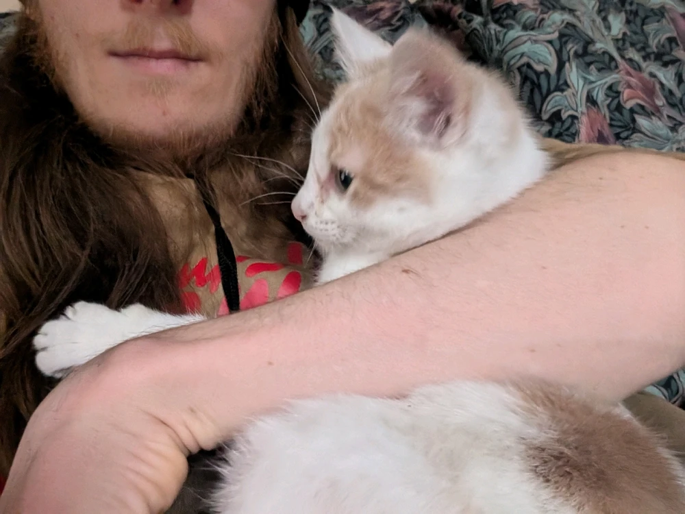 Gambar diunggah dening Noel Brown