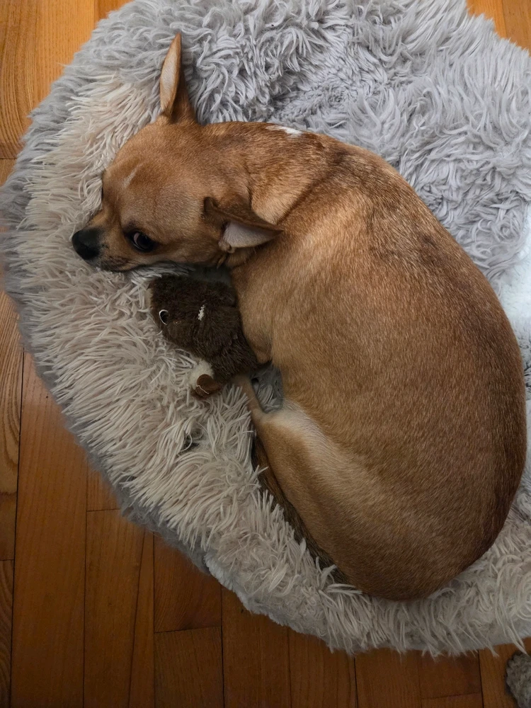 GIF uploaded by Caitlin