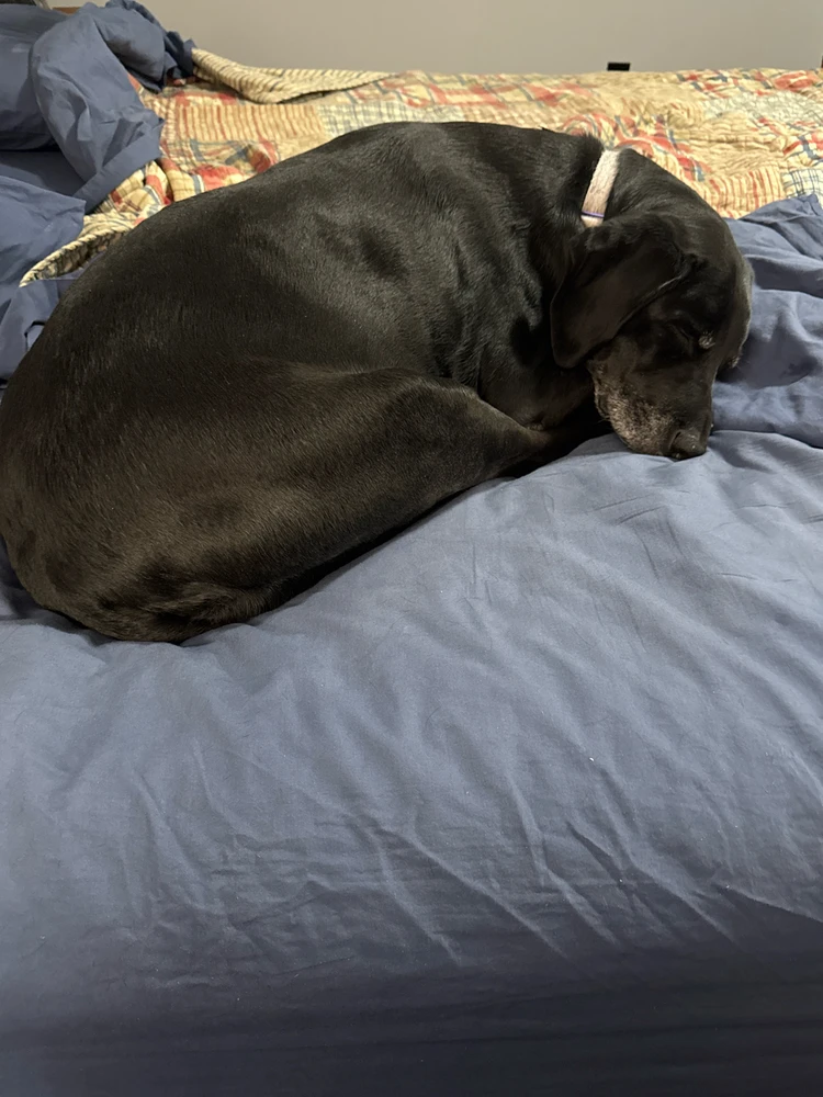 GIF uploaded by Michael