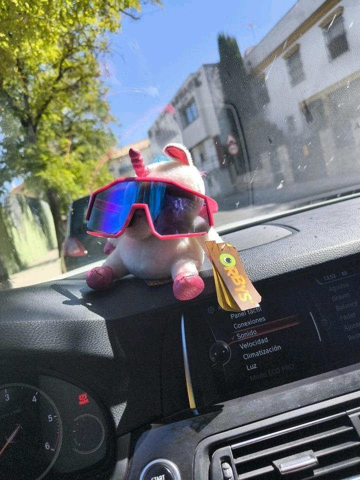 Imagen subida por PeriCord