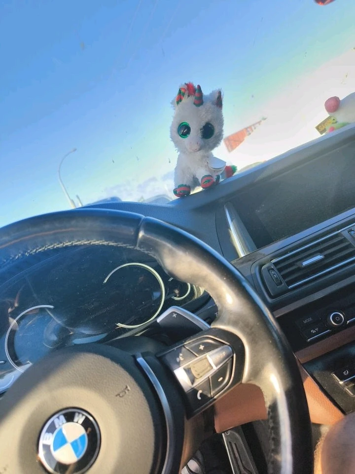 Imagen subida por PeriCord