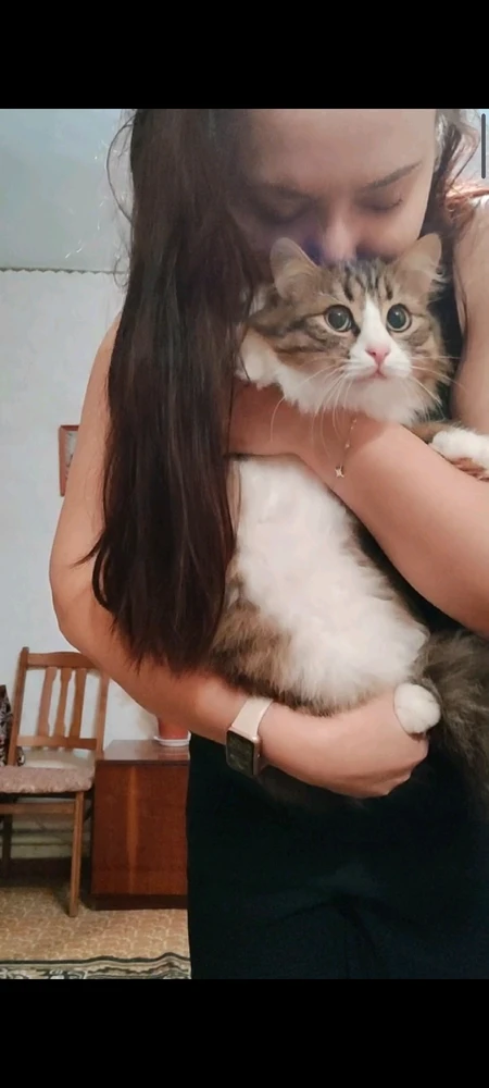 Image uploaded by Inna