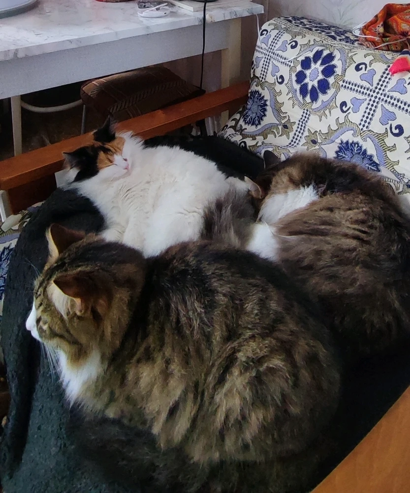 Image uploaded by Inna