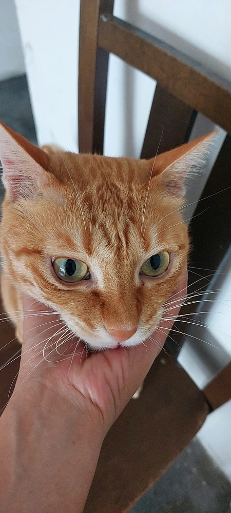 GIF uploaded by Aruzia