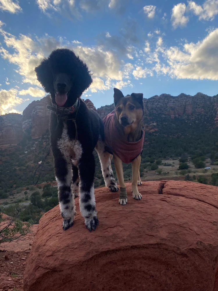 Image uploaded by Kayla