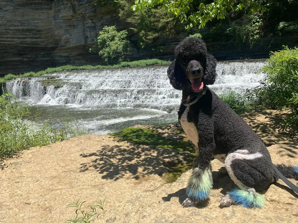 Image uploaded by Kayla