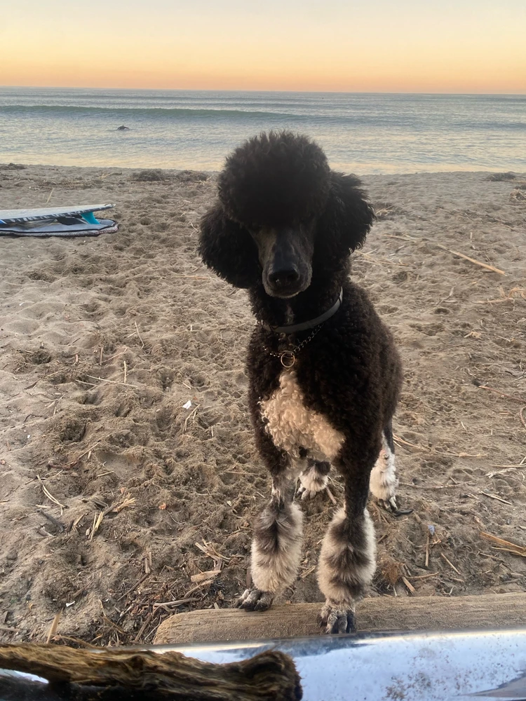 Image uploaded by Kayla