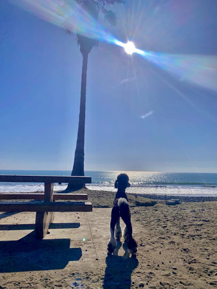 Image uploaded by Kayla