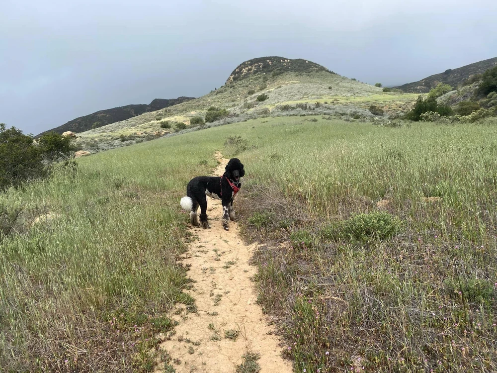 Image uploaded by Kayla