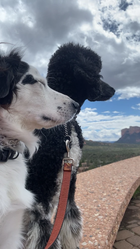 Image uploaded by Kayla