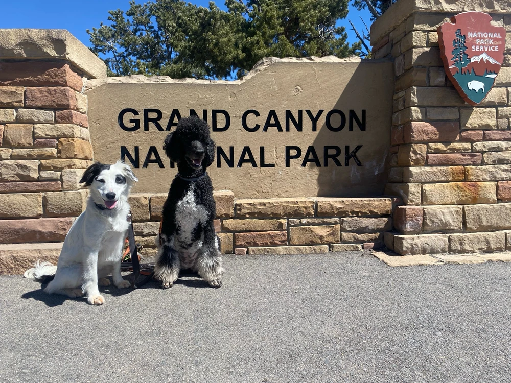 Image uploaded by Kayla