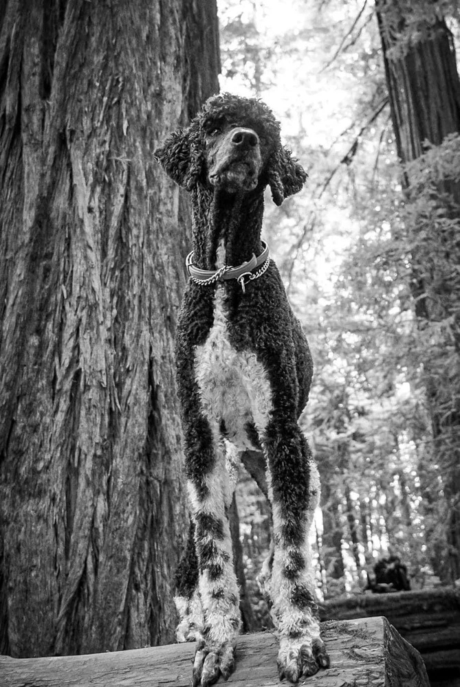 Image uploaded by Kayla