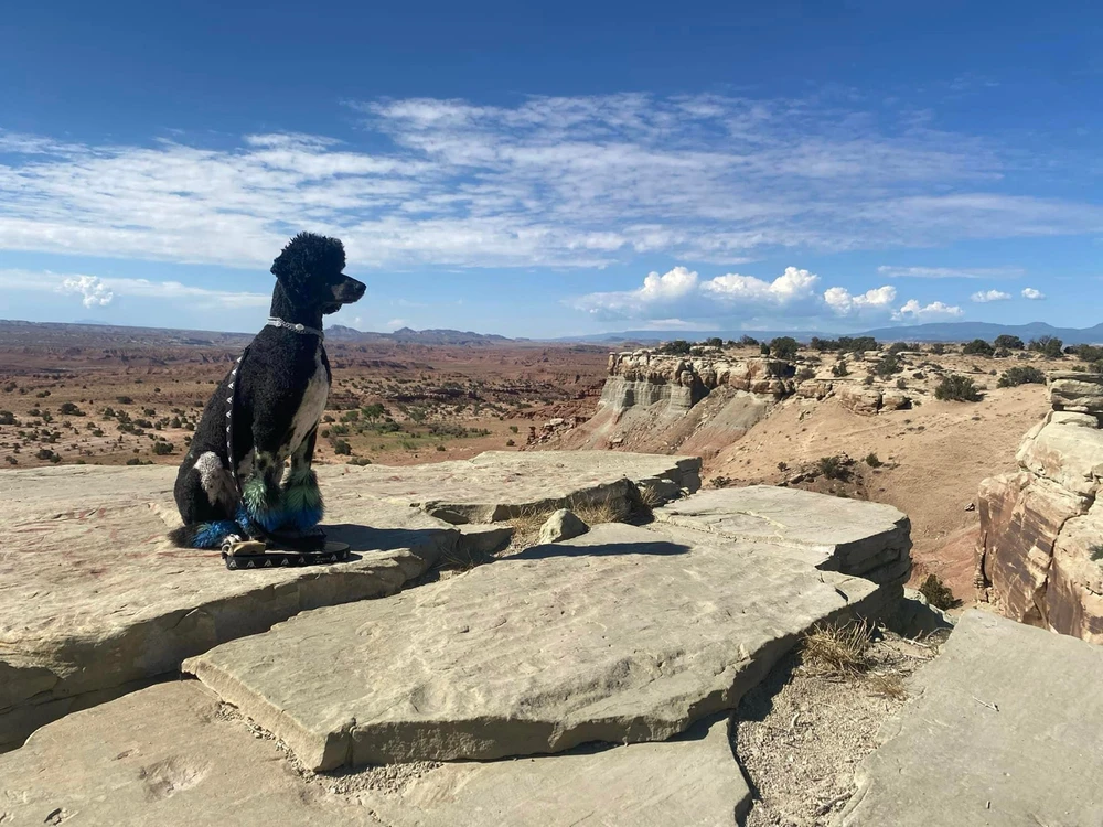 Image uploaded by Kayla