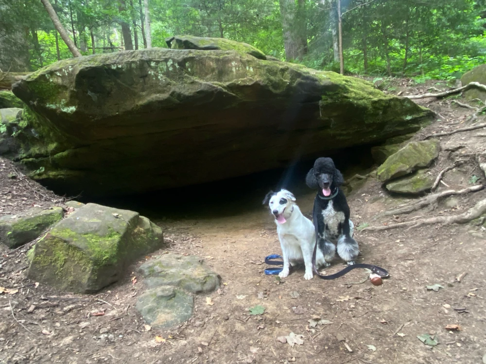 Image uploaded by Kayla