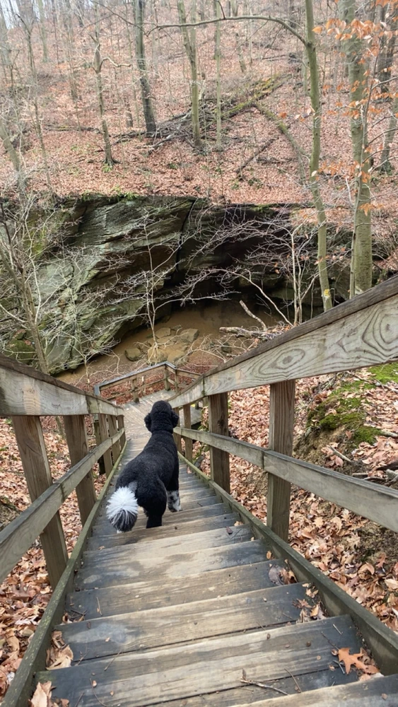 Image uploaded by Kayla