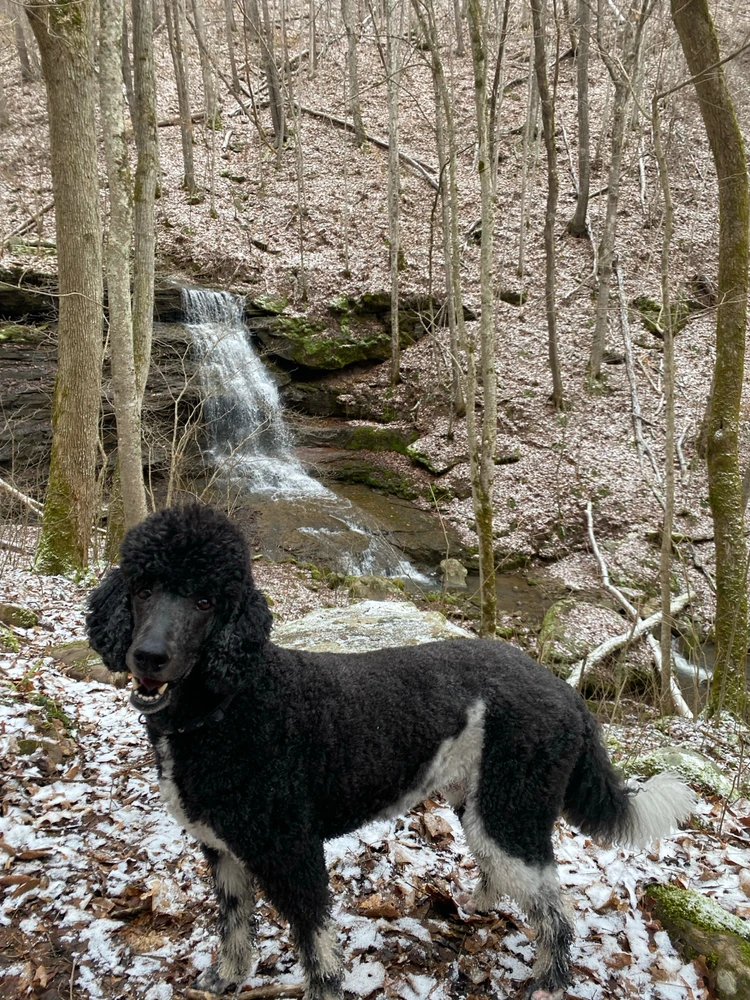 Image uploaded by Kayla