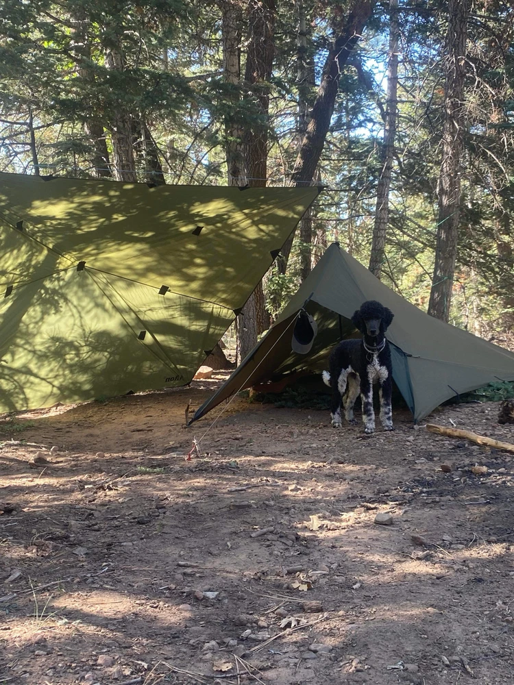 Image uploaded by Kayla