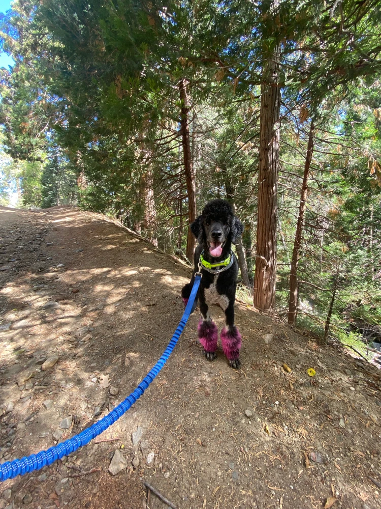 Image uploaded by Kayla