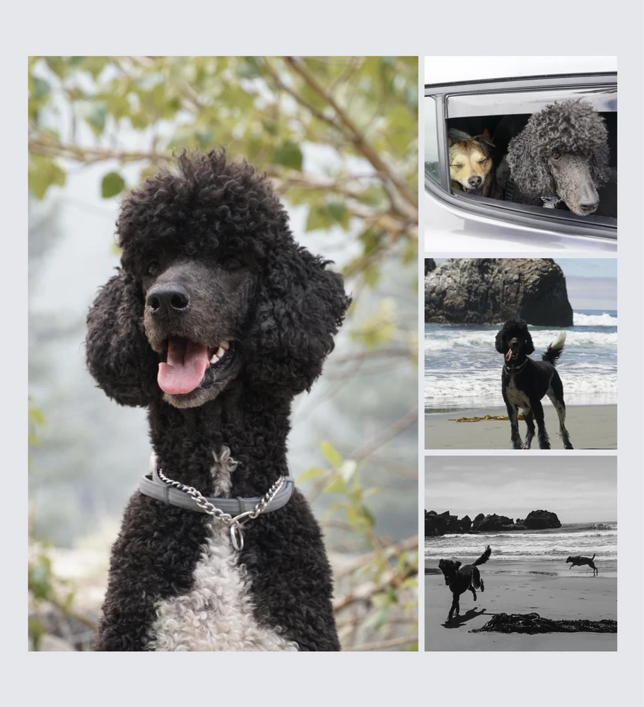 Image uploaded by Kayla