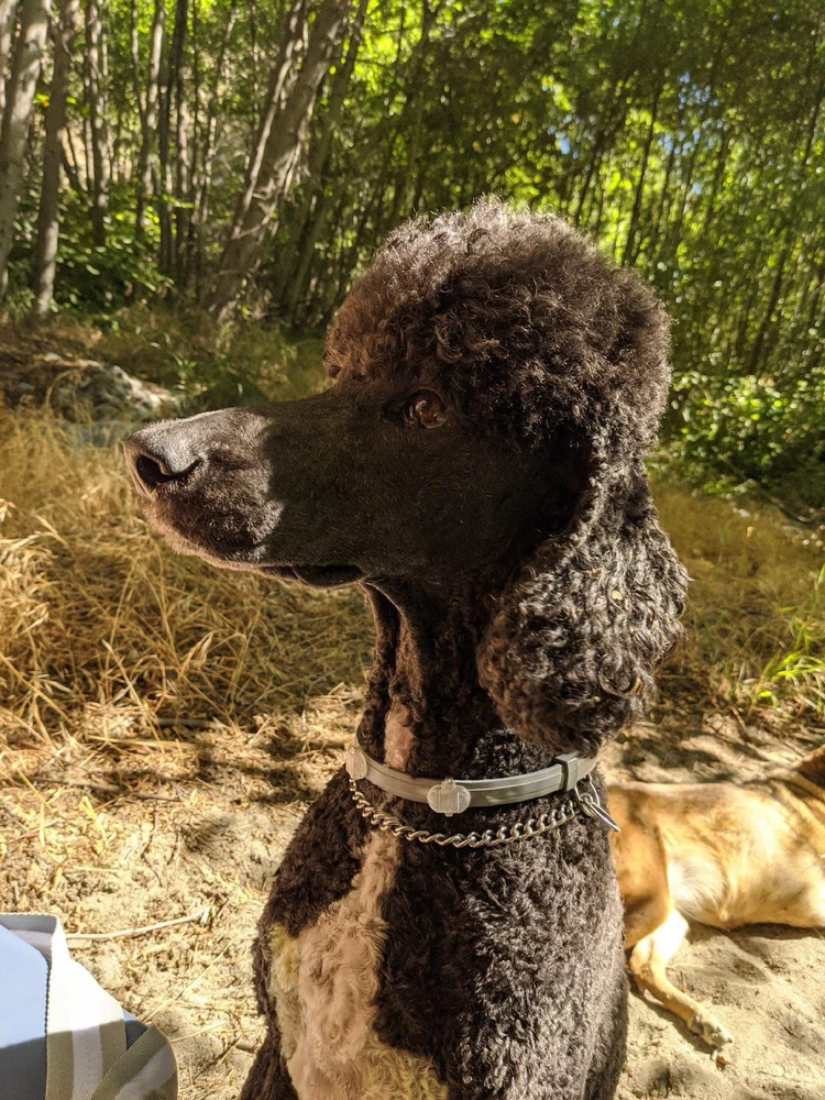 Image uploaded by Kayla