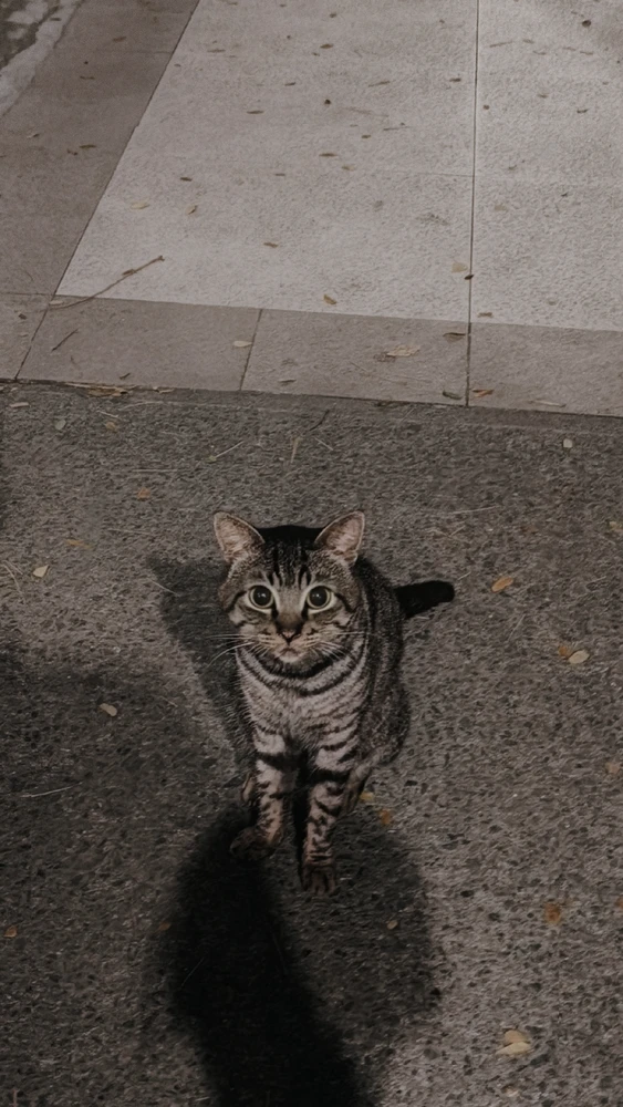 GIF uploaded by Christine