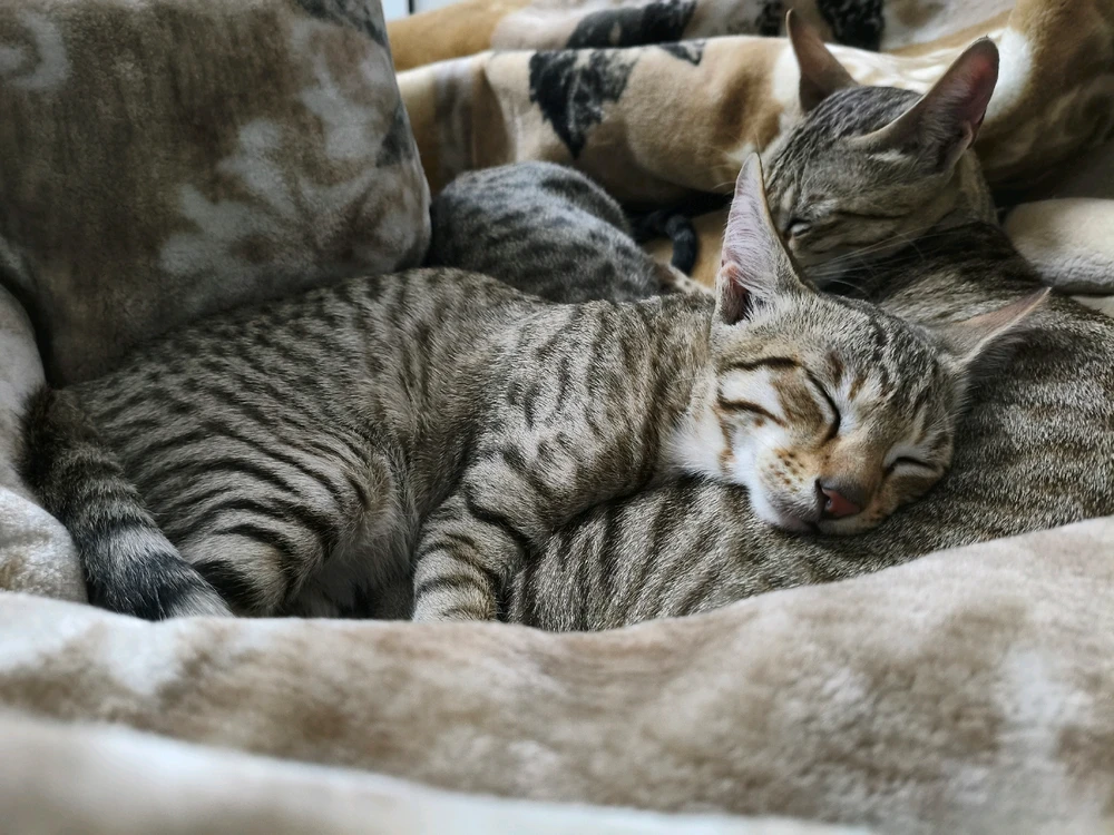 GIF uploaded by Lake