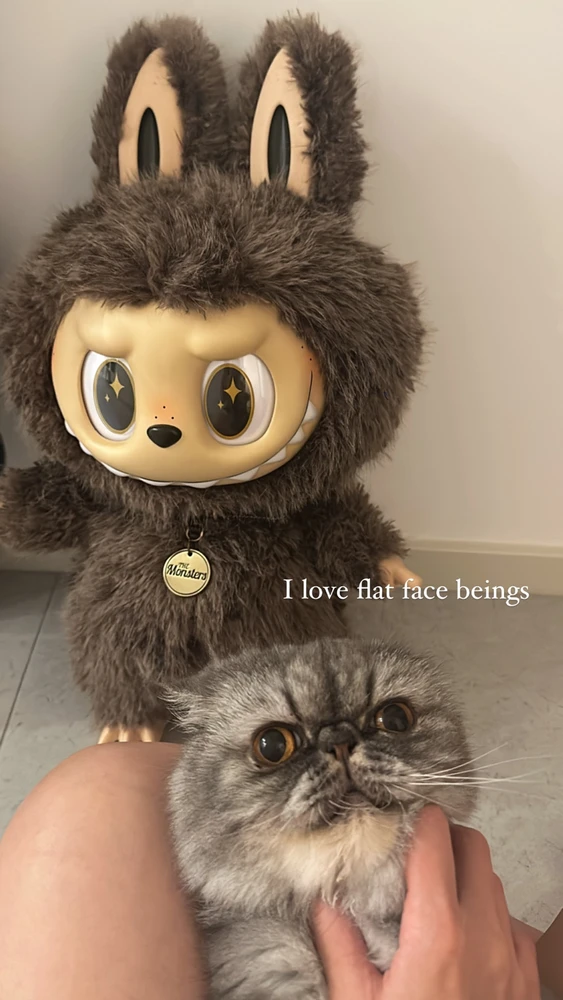 Image uploaded by Jorylle