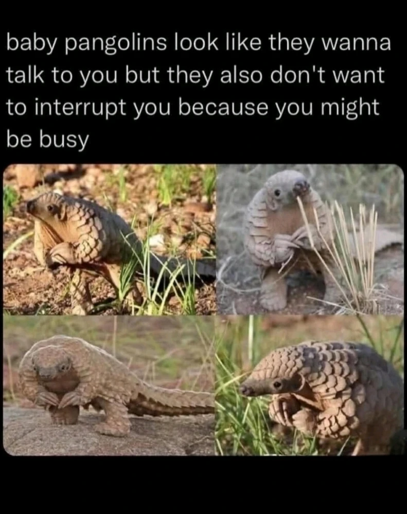 GIF uploaded by Jacqueline