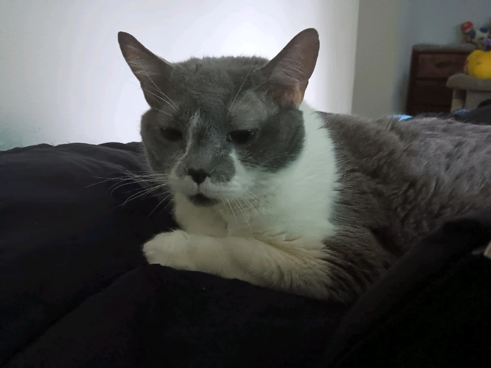 Image uploaded by Tu