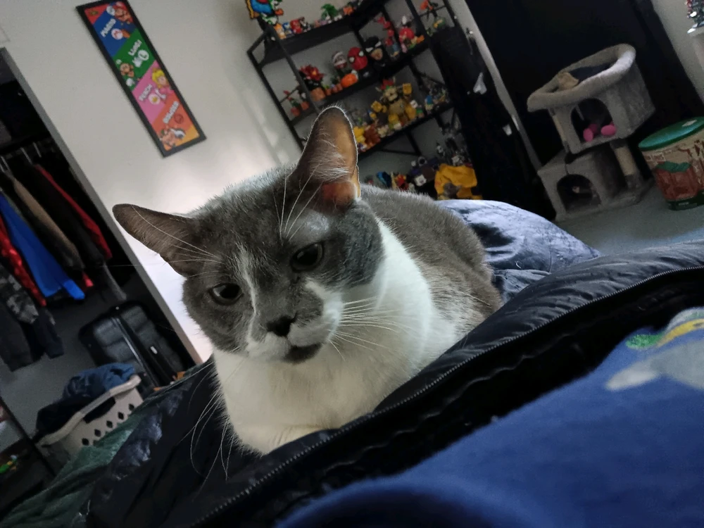 Image uploaded by Tu