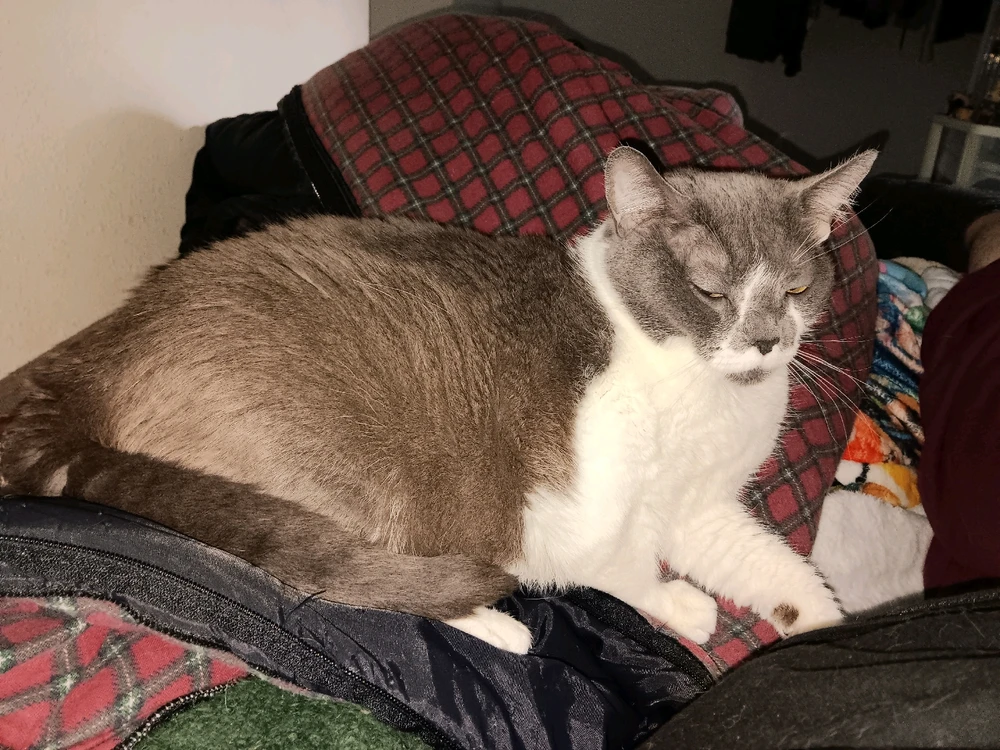 Image uploaded by Tu