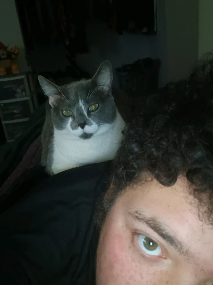 Image uploaded by Tu