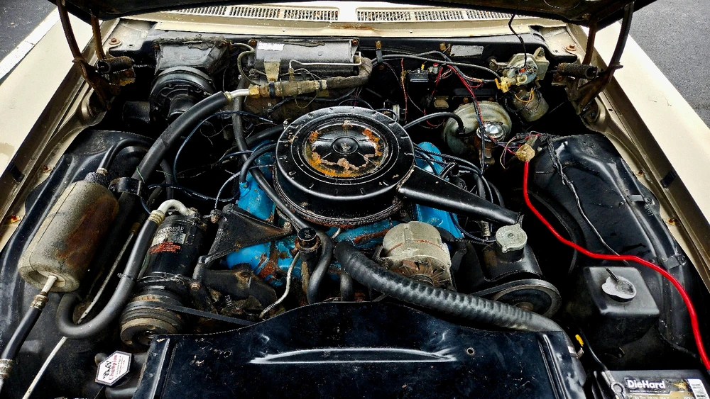 Image uploaded by Brendan