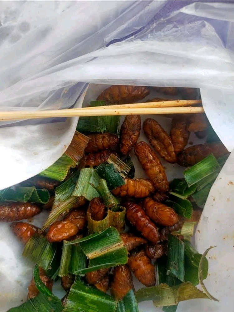 Image uploaded by Jellyfish