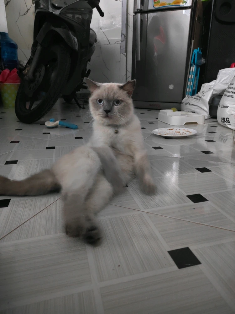 Ảnh do Em tải lên