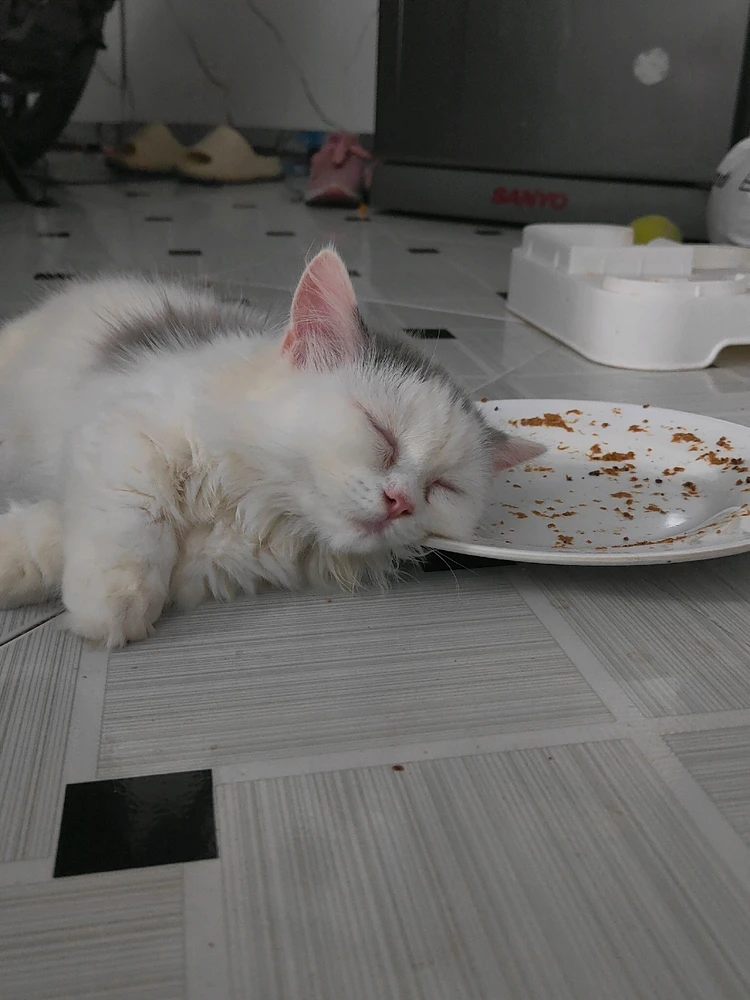 Ảnh do Em tải lên