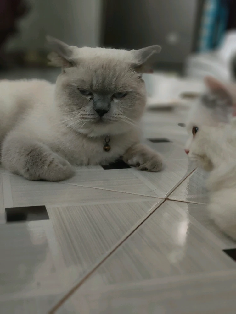 Ảnh do Em tải lên