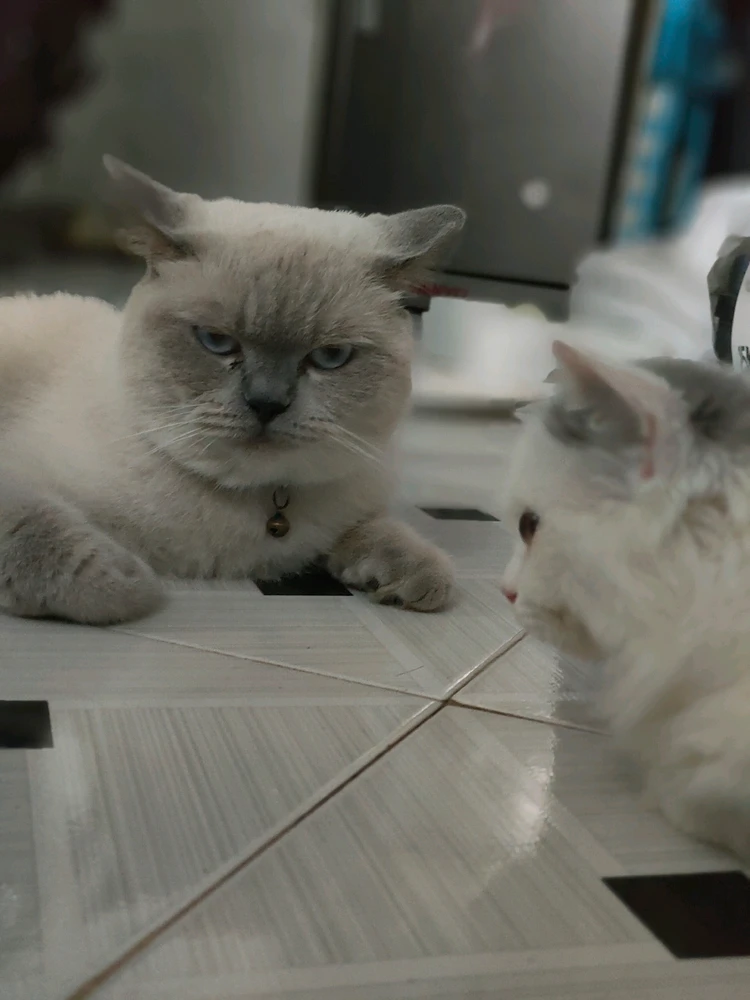 Ảnh do Em tải lên