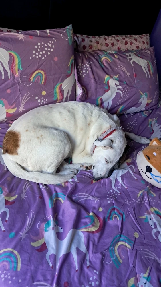 GIF uploaded by Mαggie♡🇿🇦