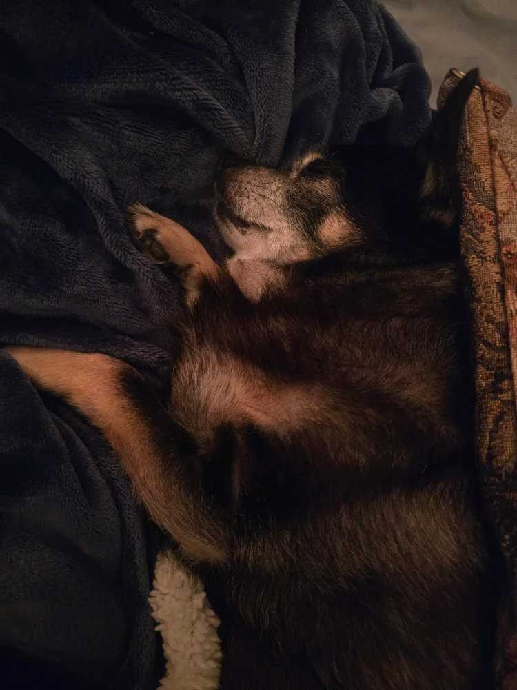 GIF uploaded by William