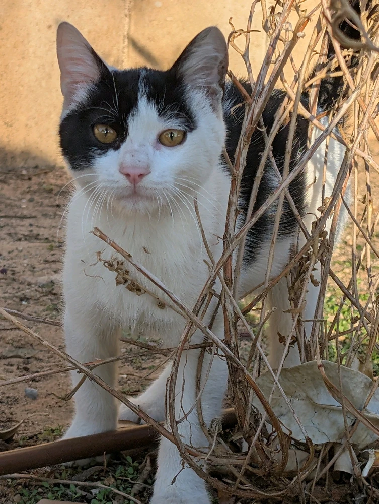 GIF uploaded by Aviv