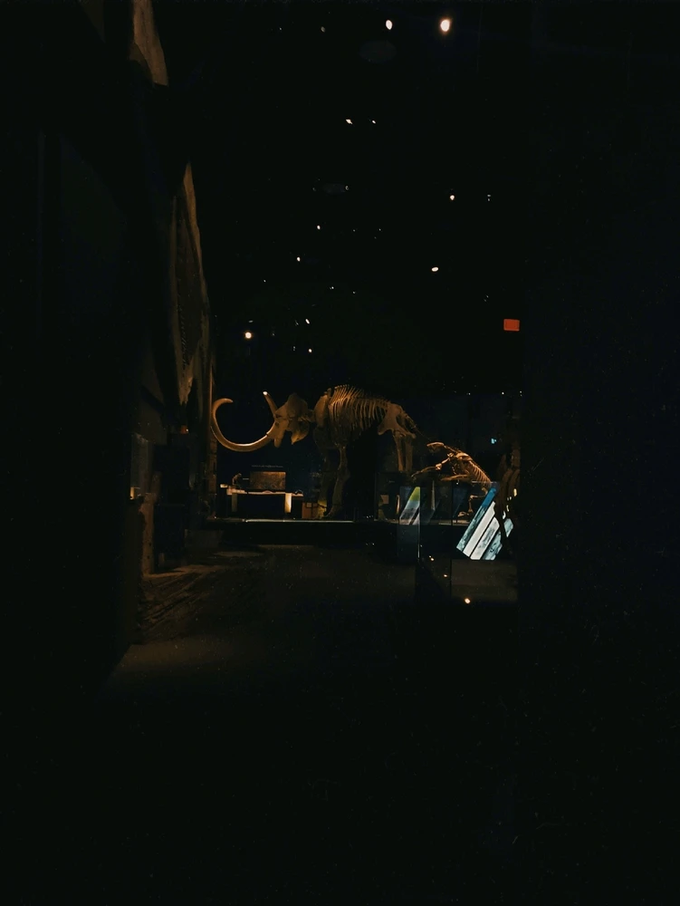 GIF uploaded by Jeff